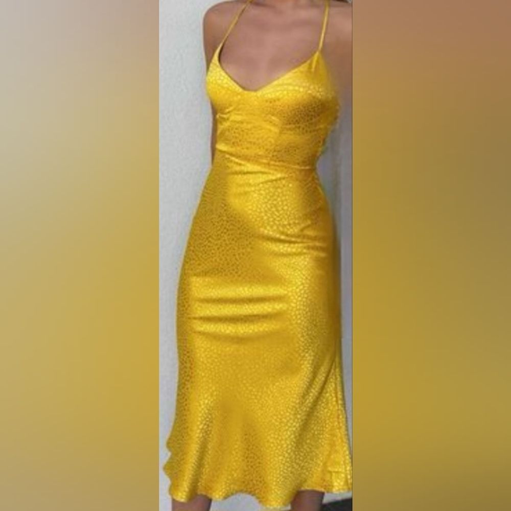 Runaway The Label Dress NWT